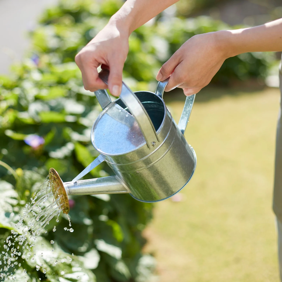 Regador molhando planta