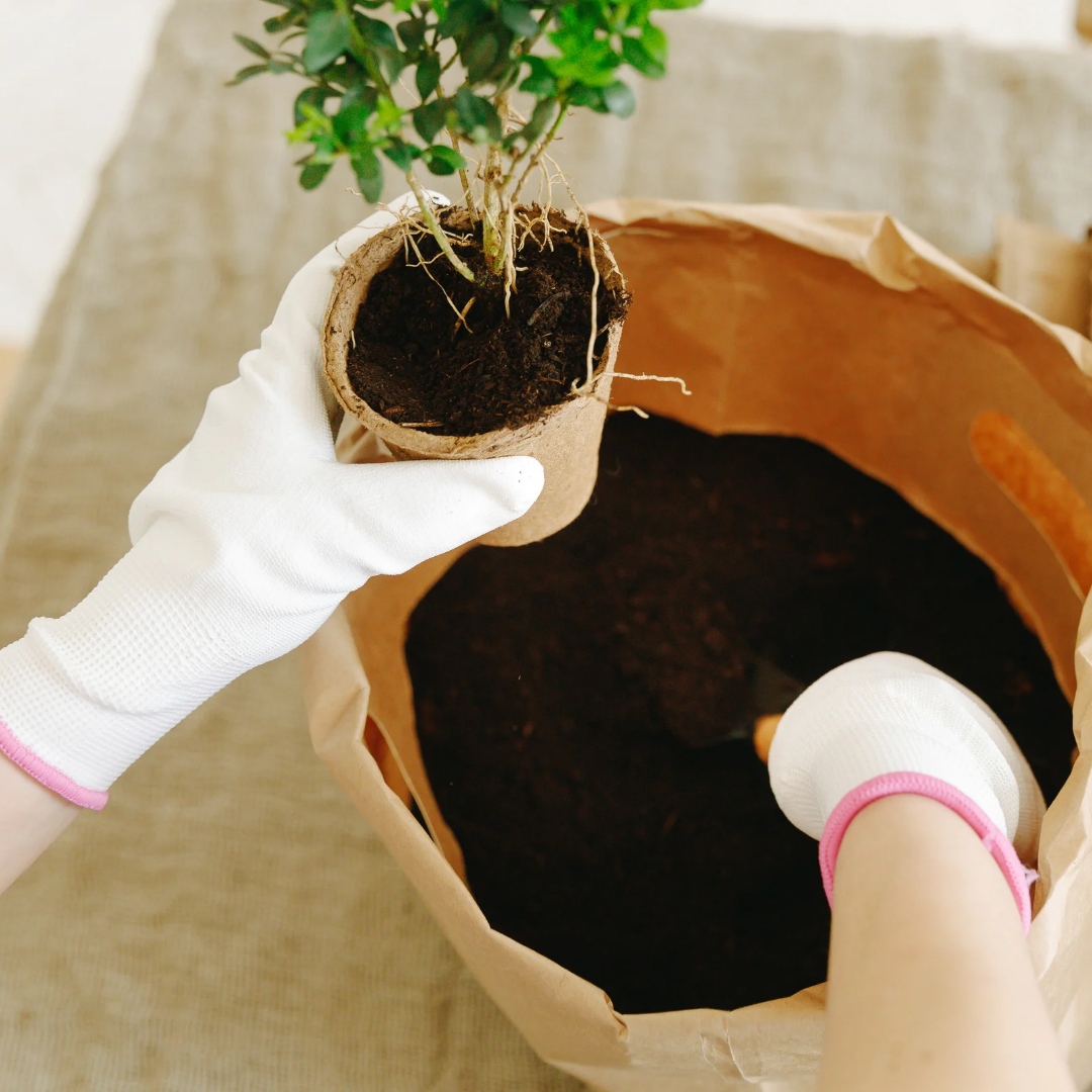 Mistura de substrato