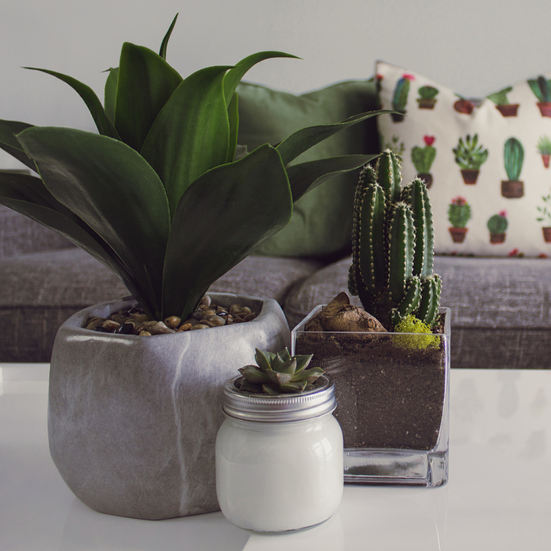 Decoração Urban Jungle